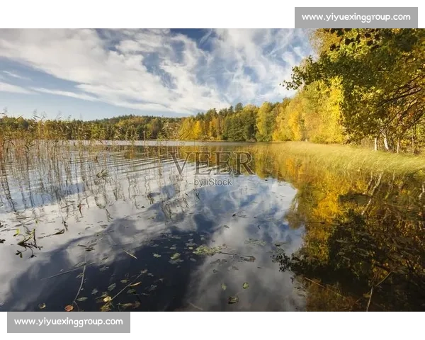 波兰主题摄影比赛精彩图片合集与创意视觉艺术展示精选作品鉴赏集
