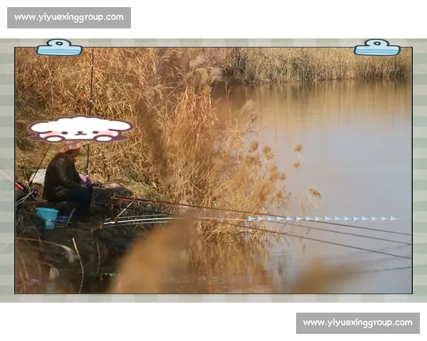 激发竞技精神与自然体验的钓鱼比赛全新意义探索